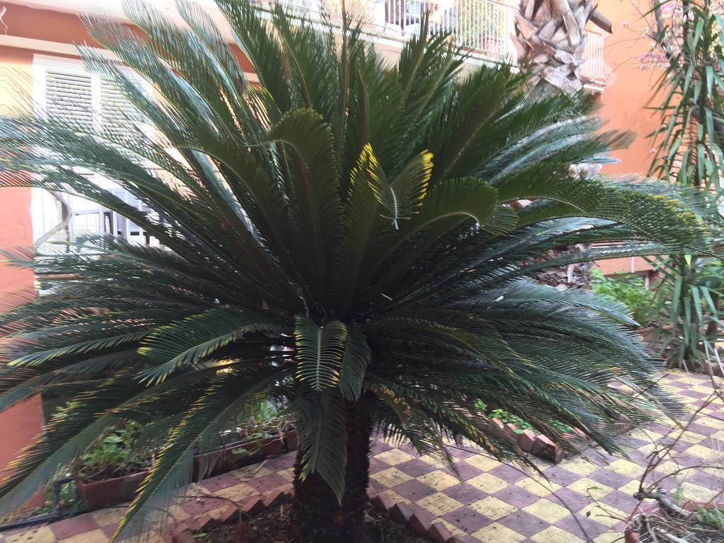 Hotel Domus Aventina Rome Exterior photo