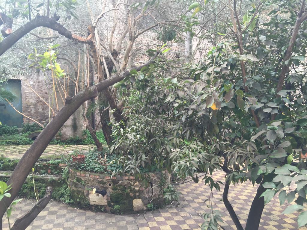 Hotel Domus Aventina Rome Exterior photo